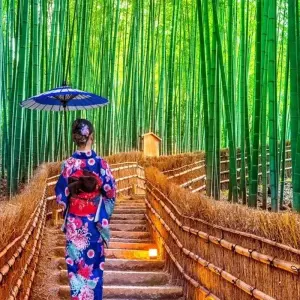 Explore A Classic 11 Day Japan Holiday for 11 days with Wonderful Holidays UK and discover unforgettable experiences - Photo 2