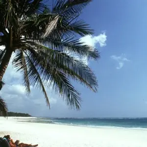 Explore 10 Day Kenya Safari Adventure and Relaxing Mombasa Beach Vacation for 10 days with Wonderful Holidays UK and discover unforgettable experiences - Photo 2