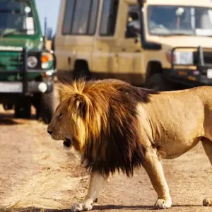 Explore 10 Day Kenya Safari Adventure and Relaxing Mombasa Beach Vacation for 10 days with Wonderful Holidays UK and discover unforgettable experiences - Photo 9