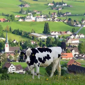 Explore 6 Days Trip to Switzerland for 6 days with WiseYatra and discover unforgettable experiences - Photo 2