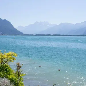 Explore 6 Days Trip to Switzerland for 6 days with WiseYatra and discover unforgettable experiences - Photo 4