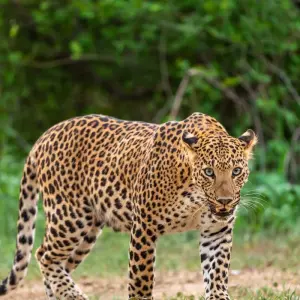 Explore The Big 5 in South Africa for 10 days with Wonderful Holidays UK and discover unforgettable experiences - Photo 9