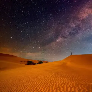 Explore Dubai & Mauritius: Skyline Meets Nature Adventure (from Dubai to Mahébourg) for 11 days with journaway and discover unforgettable experiences - Photo 7