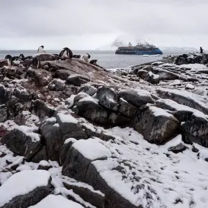Explore South Shetland Islands and Antarctic Peninsula with Halal Dining Options for 10 days with Albatros Expeditions and discover unforgettable experiences - Photo 5