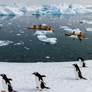 Explore South Shetland Islands and Antarctic Peninsula with Halal Dining Options for 10 days with Albatros Expeditions and discover unforgettable experiences - Photo 11