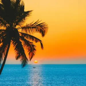 Explore Luxury Private Goa Tour with Taj and Tigers for 12 days with Alkof Holidays and discover unforgettable experiences - Photo 9