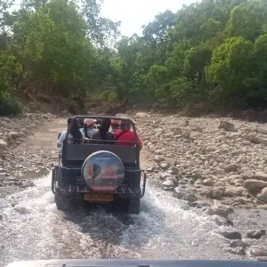 Explore Golden Triangle Tour with Jim Corbett National Park for 10 days with Alkof Holidays and discover unforgettable experiences - Photo 8