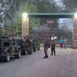 Explore Golden Triangle Tour with Jim Corbett National Park for 10 days with Alkof Holidays and discover unforgettable experiences - Photo 9