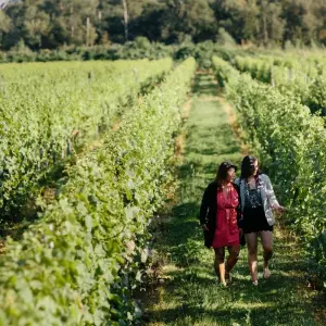 Explore 6-Day Canadian Rockies Bus Tour: Vancouver to Calgary | Banff, Jasper, Lake Louise & Moraine Lake for 6 days with Calgary Tours and discover unforgettable experiences - Photo 10