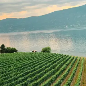 Explore 6-Day Canadian Rockies Bus Tour: Vancouver to Calgary | Banff, Jasper, Lake Louise & Moraine Lake for 6 days with Calgary Tours and discover unforgettable experiences - Photo 11