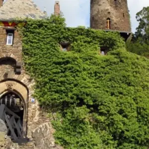 Explore The Rhine & Moselle for 5 days with CroisiEurope River Cruises and discover unforgettable experiences - Photo 6
