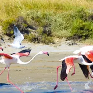Explore Lyon to the Tip of Provence on the Rhône and Saône Rivers for 7 days with CroisiEurope River Cruises and discover unforgettable experiences - Photo 4