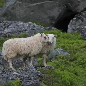 Explore Wild Camp Discovery for 3 days with Borea Adventures and discover unforgettable experiences - Photo 4