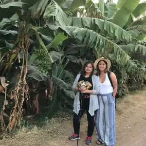 Explore Sunset Sailing Felucca Boat Ride and Banana Island Visit From Luxor for 1 days with Egypt Gift Tours and discover unforgettable experiences - Photo 9