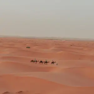 Explore From Marrakech: Student Tour to the Sahara Desert, Morocco for 3 days with Escorted Morocco Tours and discover unforgettable experiences - Photo 2