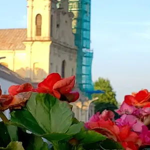 Explore Vilnius, Lithuania for 4 days with Euroadventures and discover unforgettable experiences - Photo 7