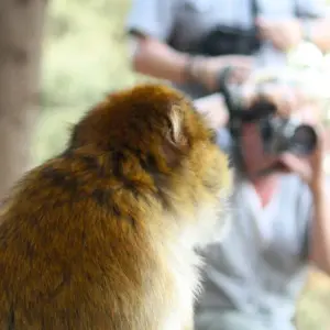 Explore Morocco Tours 6-Days From Casablanca for 6 days with Explore Morocco Journeys and discover unforgettable experiences - Photo 7