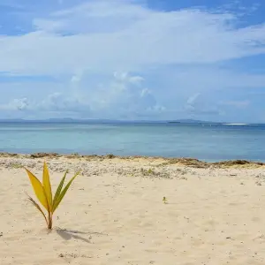 Explore Unforgettable Fiji for 7 days with Gebeco and discover unforgettable experiences - Photo 2