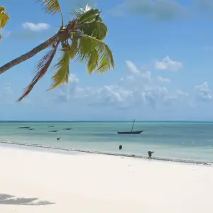 Explore Tanzania: Beach Extension at the Karafuu Beach Resort on Zanzibar for 6 days with Gebeco and discover unforgettable experiences - Photo 3