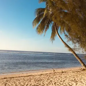 Explore South Seas Dream Cook Islands for 7 days with Gebeco and discover unforgettable experiences - Photo 4