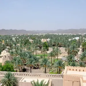 Emirates and Oman ─ Modern Fairytale Kingdom - 12 days with Gebeco - Photo 4 Explore Emirates and Oman ─ Modern Fairytale Kingdom for 12 days with Gebeco and discover unforgettable experiences - Photo 4