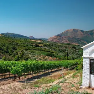 Greece in Peace and Quiet - 10 days with Gebeco - Photo 3 Explore Greece in Peace and Quiet for 10 days with Gebeco and discover unforgettable experiences - Photo 3