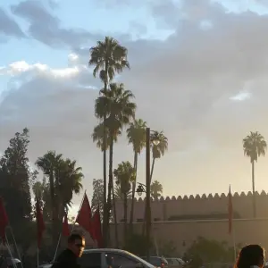 Explore Moroccan Impressions for 8 days with Gebeco and discover unforgettable experiences - Photo 6