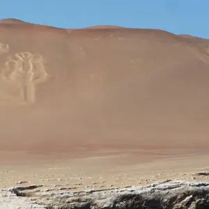 Explore Paracas - Desert and Sea for 4 days with Gebeco and discover unforgettable experiences - Photo 3