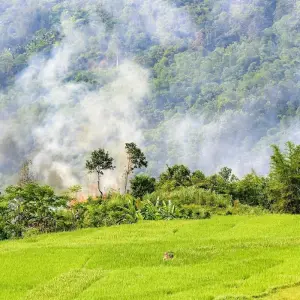 Explore Active and at Leisure Through the Mai - Chau Valley for 4 days with Gebeco and discover unforgettable experiences - Photo 2