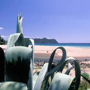 Explore Bay of Islands ─ New Zealand's Island World for 4 days with Gebeco and discover unforgettable experiences - Photo 3