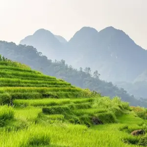 Explore Active and at Leisure Through the Mai - Chau Valley for 4 days with Gebeco and discover unforgettable experiences - Photo 4