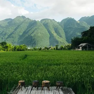 Explore Active and at Leisure Through the Mai - Chau Valley for 4 days with Gebeco and discover unforgettable experiences - Photo 5