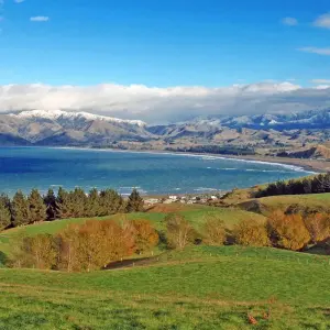 Explore Kaikoura Up Close to the Whales for 4 days with Gebeco and discover unforgettable experiences - Photo 5