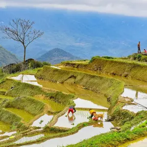 Explore Active and at Leisure Through the Mai - Chau Valley for 4 days with Gebeco and discover unforgettable experiences - Photo 6