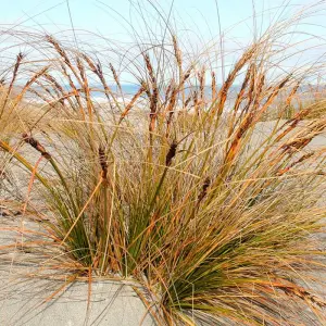 Explore Kaikoura Up Close to the Whales for 4 days with Gebeco and discover unforgettable experiences - Photo 7