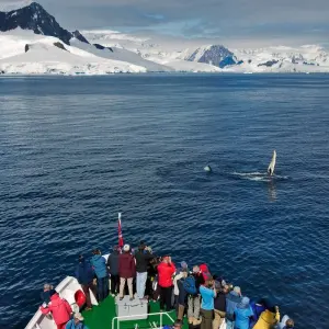 Explore Antarctica in Depth 2025-2026|2026-2027 for 13 days with Scenic Luxury Cruises & Tours and discover unforgettable experiences - Photo 8