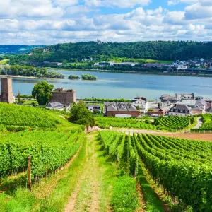 Explore Jewels of Europe with Prague 2026 - 18 Days (from Amsterdam to Prague) for 18 days with Scenic Luxury Cruises & Tours and discover unforgettable experiences - Photo 8