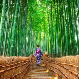 Explore Classic Japan for 15 days with Scenic Luxury Cruises & Tours and discover unforgettable experiences - Photo 7