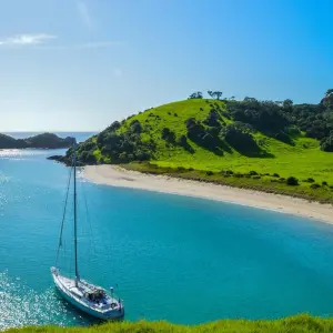 Explore Bay of Islands Explorer for 6 days with Scenic Luxury Cruises & Tours and discover unforgettable experiences - Photo 8