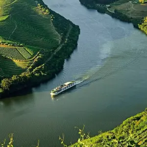 Explore Delightful Douro with Lisbon & Madrid for 14 days with Scenic Luxury Cruises & Tours and discover unforgettable experiences - Photo 6
