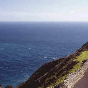 Explore Bay of Islands Explorer for 6 days with Scenic Luxury Cruises & Tours and discover unforgettable experiences - Photo 10