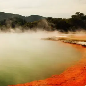 Explore Scenic Splendour 2025-2026 for 19 days with Scenic Luxury Cruises & Tours and discover unforgettable experiences - Photo 4