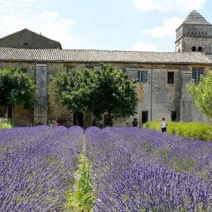 Explore Idyllic Rhône 2024|2025 - 8 Days (from Lyon to Nice) for 8 days with Scenic Luxury Cruises & Tours and discover unforgettable experiences - Photo 3