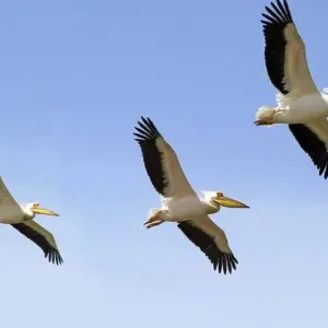 Explore  for 21 days with DIAMIR Erlebnisreisen and discover unforgettable experiences - Photo 11