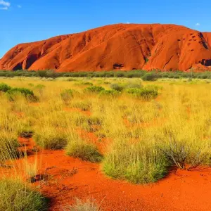 Explore Red Centre Highlights (Short Break) (3 destinations) for 4 days with AAT Kings and discover unforgettable experiences - Photo 2