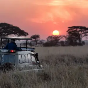 Explore 6-Day Big Five Safari for 6 days with African Breeze Safaris and discover unforgettable experiences - Photo 2