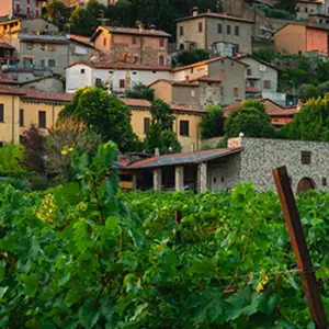 Explore Vistas of Italy and Switzerland for 9 days with Back-Roads Touring and discover unforgettable experiences - Photo 2