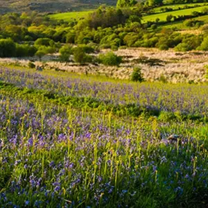 Explore Corners of Cornwall for 8 days with Blue-Roads Touring and discover unforgettable experiences - Photo 4