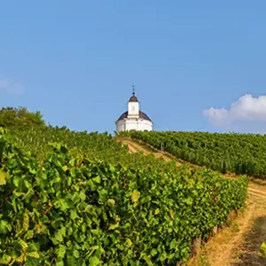 Explore Explore Eastern Europe for 10 days with Blue-Roads Touring and discover unforgettable experiences - Photo 4