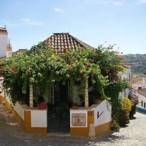 Explore Sunny Portugal with Porto  (Porto to Lisbon) for 13 days with Collette and discover unforgettable experiences - Photo 4
